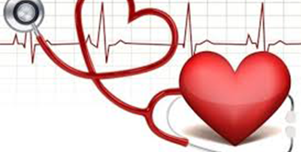 Servizi 4 elettrocardiogramma ecg 1